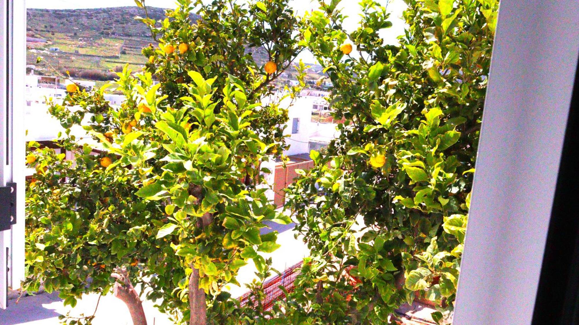 Lemon Tree Maisonette - Naoussa Paros Eksteriør billede